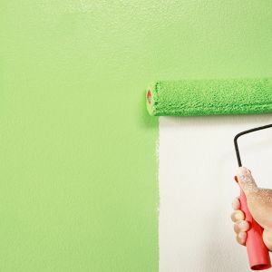 color wall painting service in Dubai